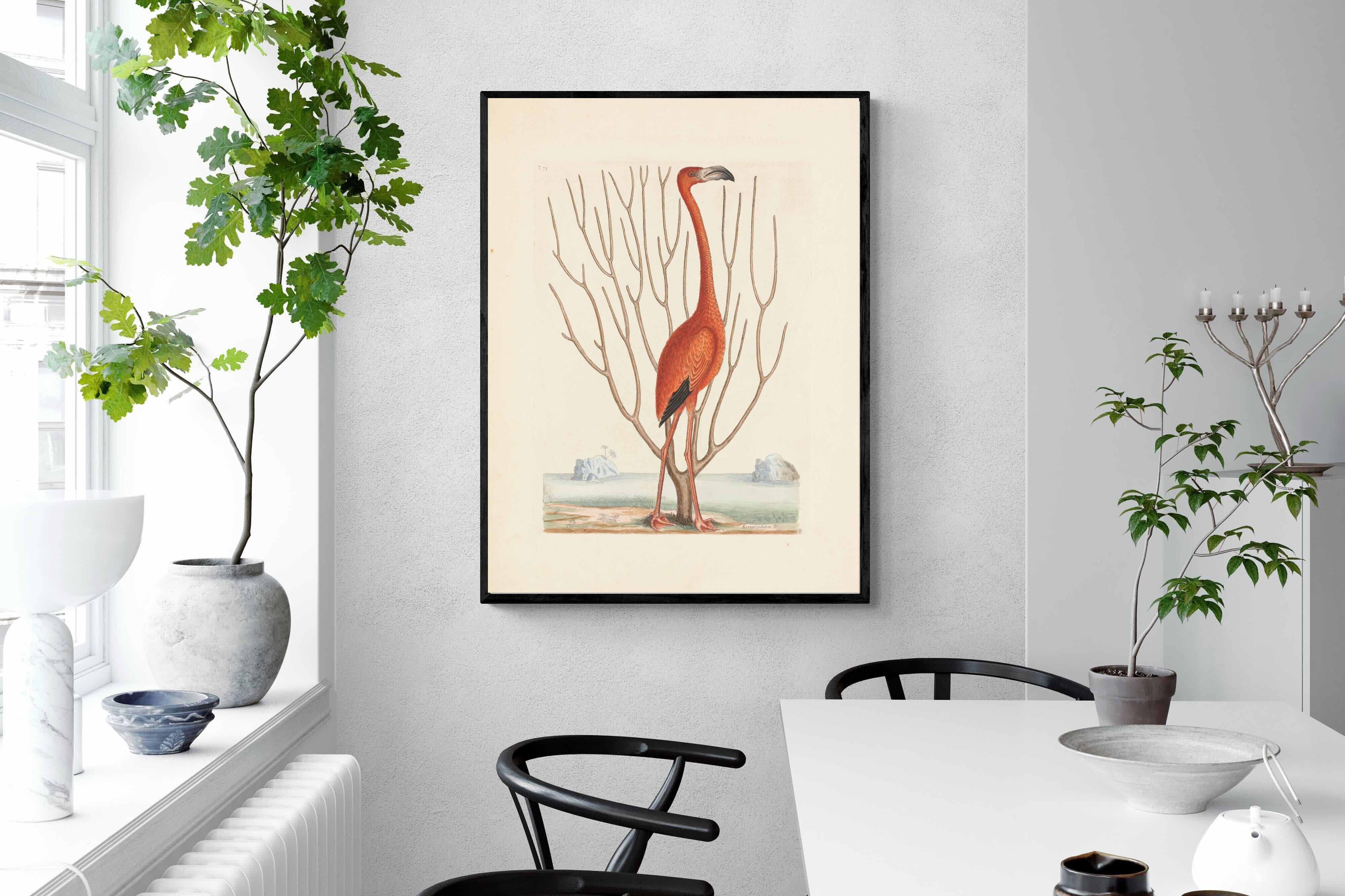 Pixalot Vintage Flamingo