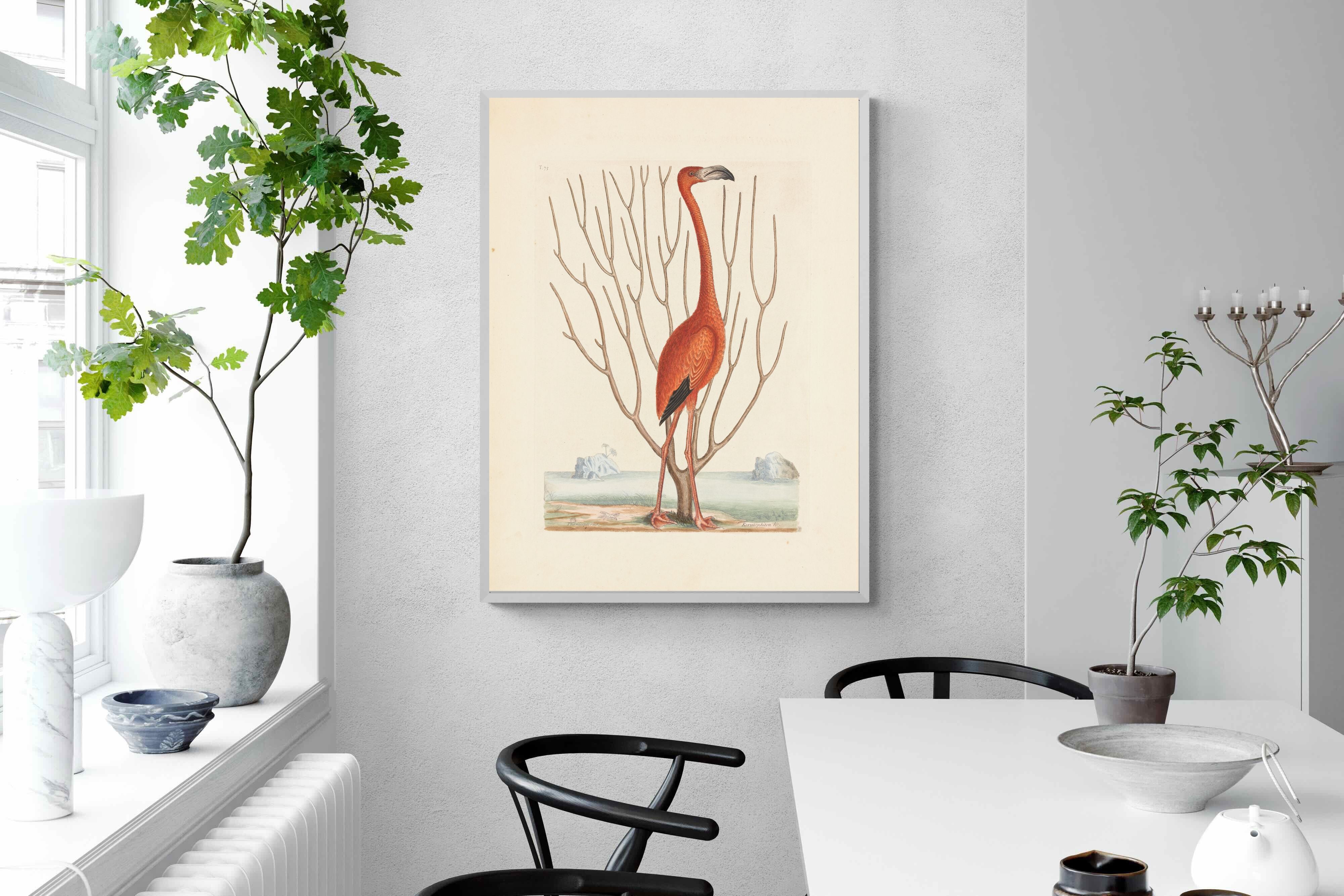 Pixalot Vintage Flamingo