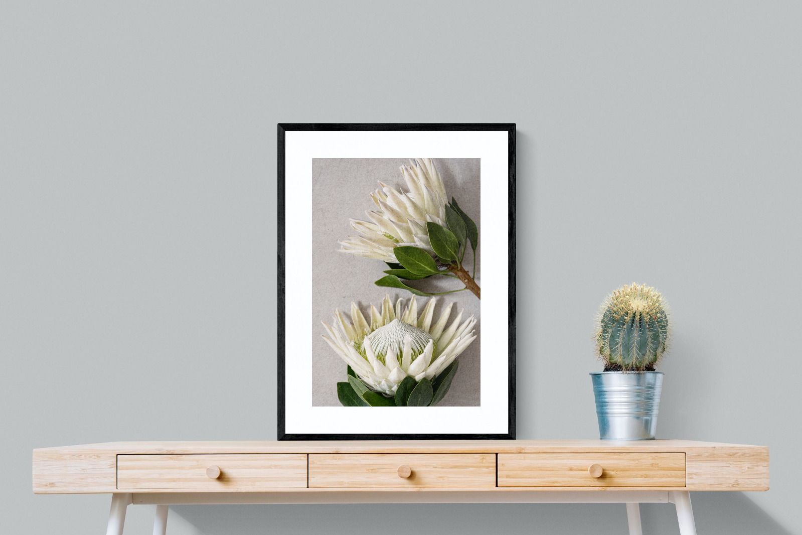 Pixalot White King Protea Duo