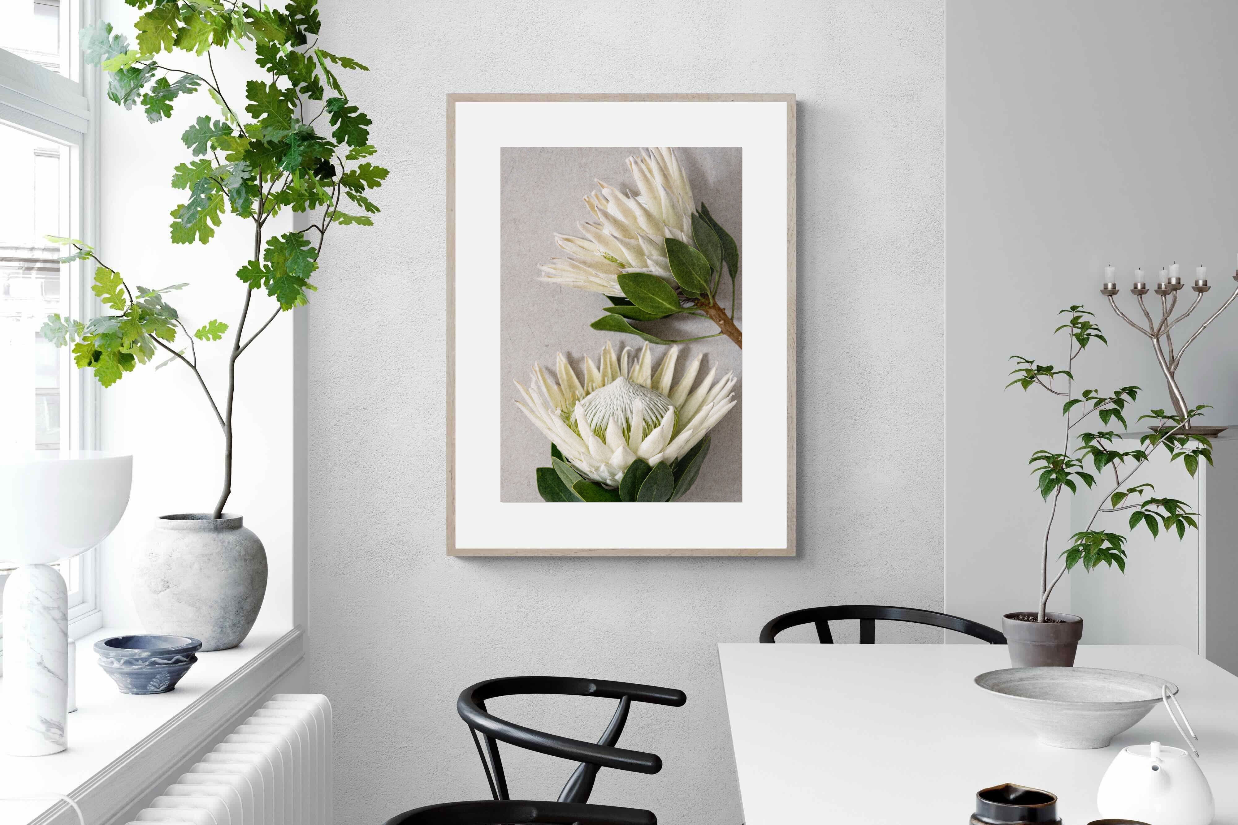 Pixalot White King Protea Duo