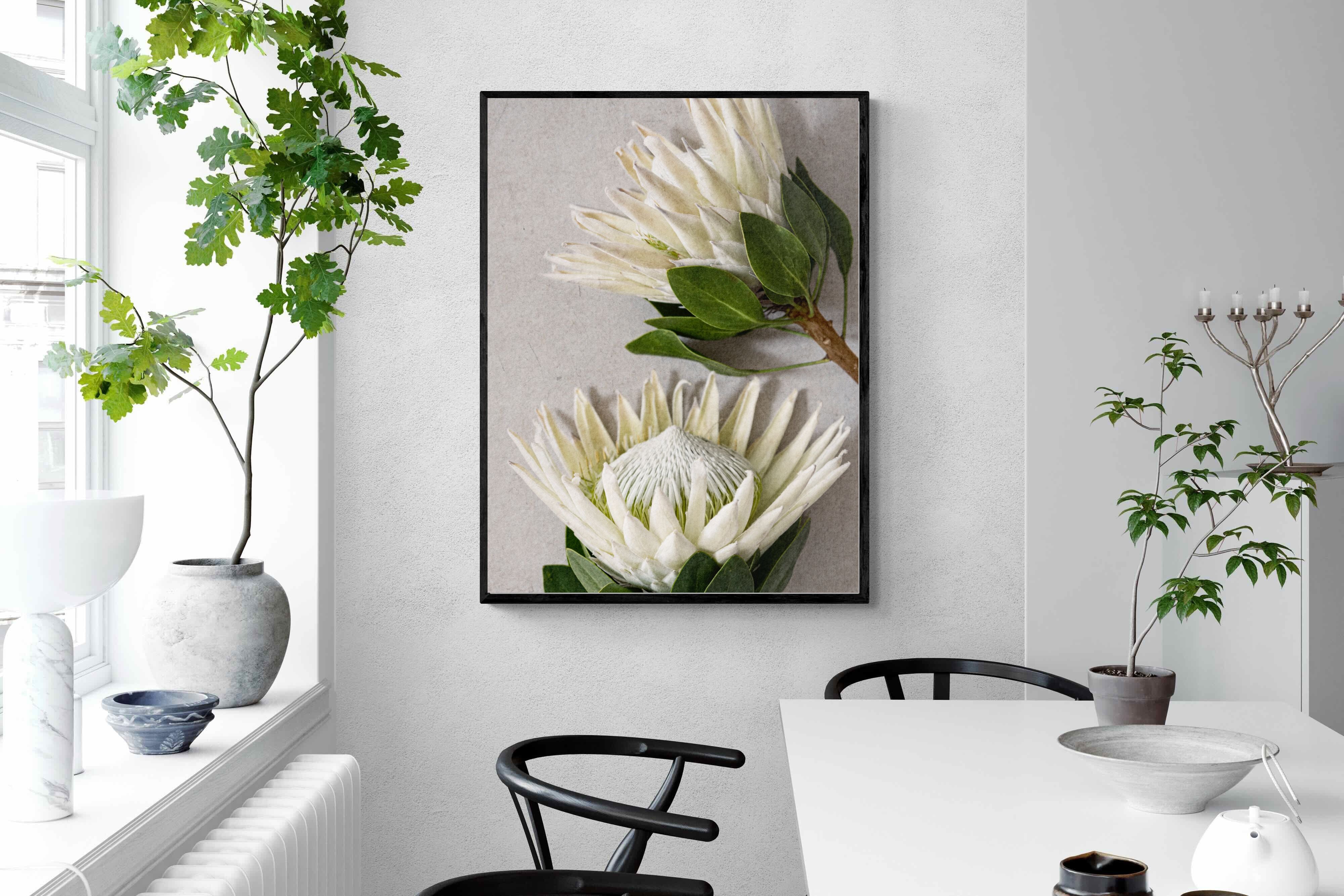 Pixalot White King Protea Duo