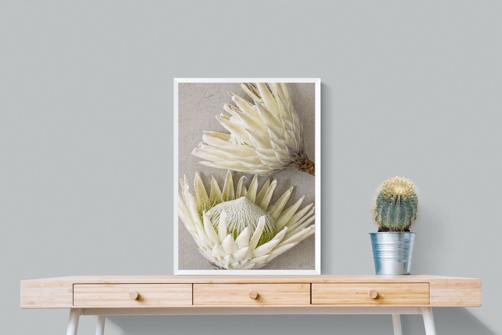 Pixalot White King Protea Pair