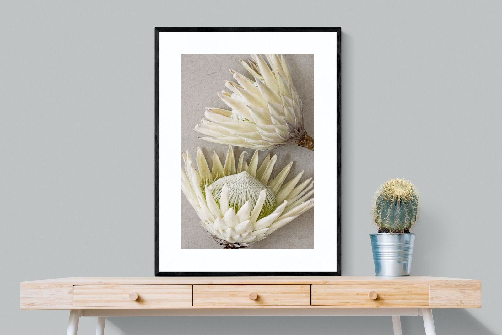 Pixalot White King Protea Pair