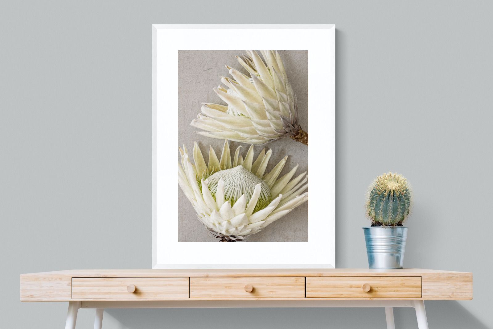 Pixalot White King Protea Pair