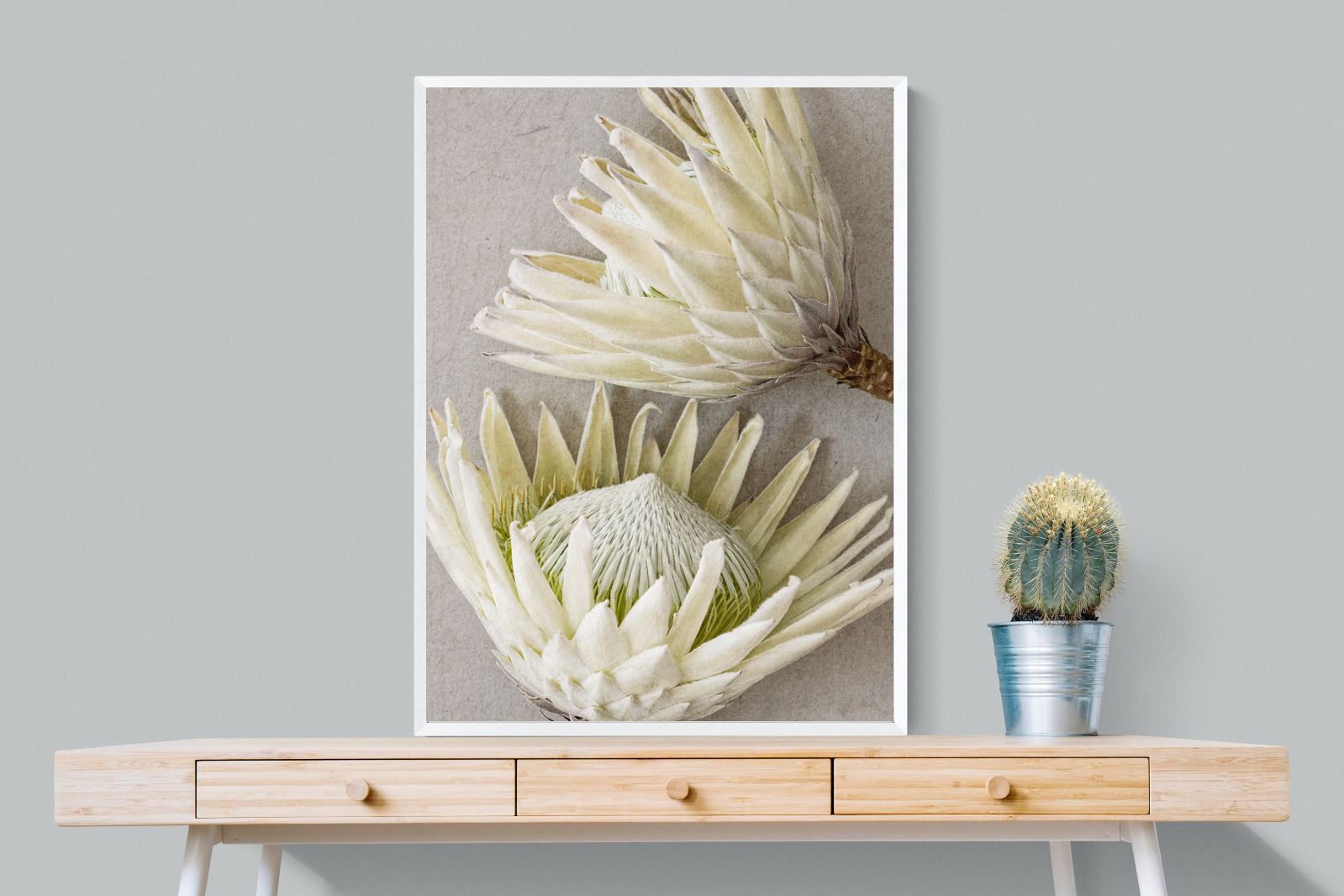 Pixalot White King Protea Pair