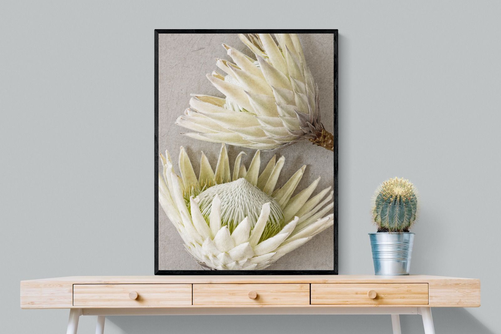 Pixalot White King Protea Pair