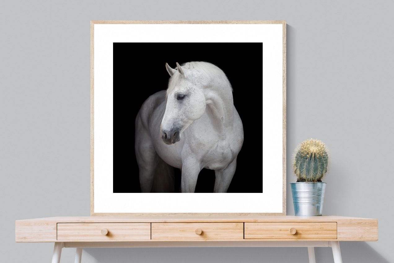 White Light-Wall_Art-100 x 100cm-Framed Print-Wood-Pixalot