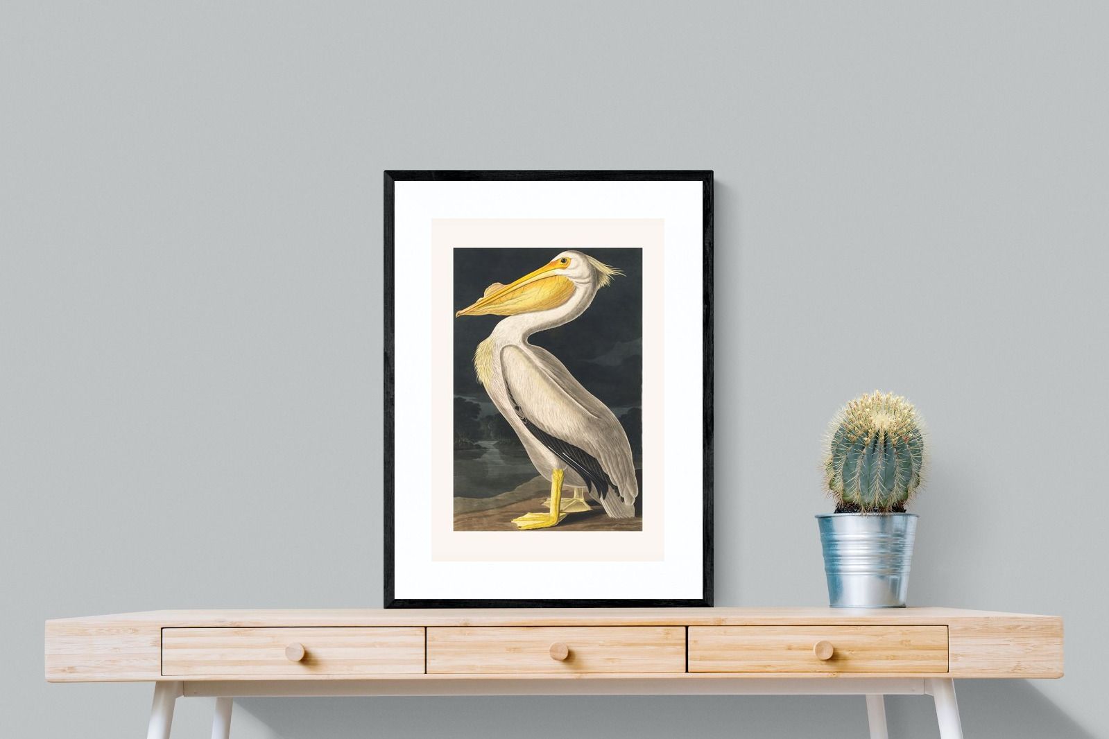 Pixalot White Pelican (Birds of America 1827)