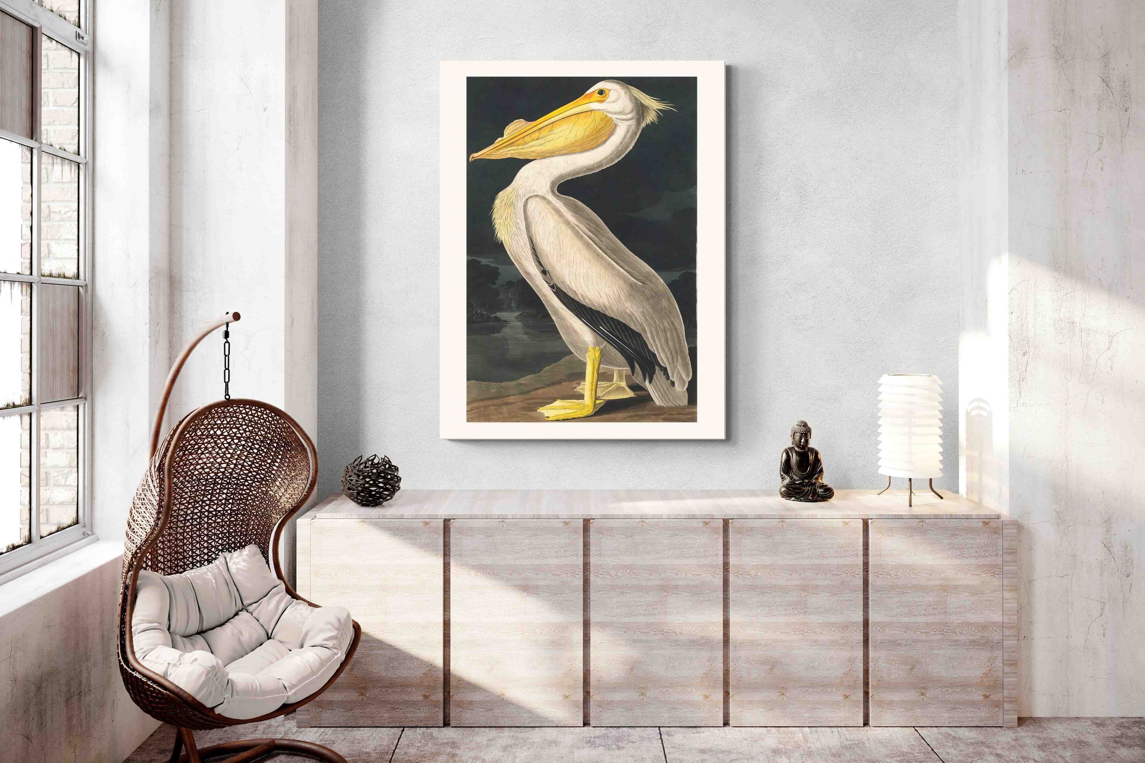 Pixalot White Pelican (Birds of America 1827)